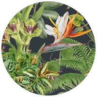 Vibrant Licence Disc Stickers