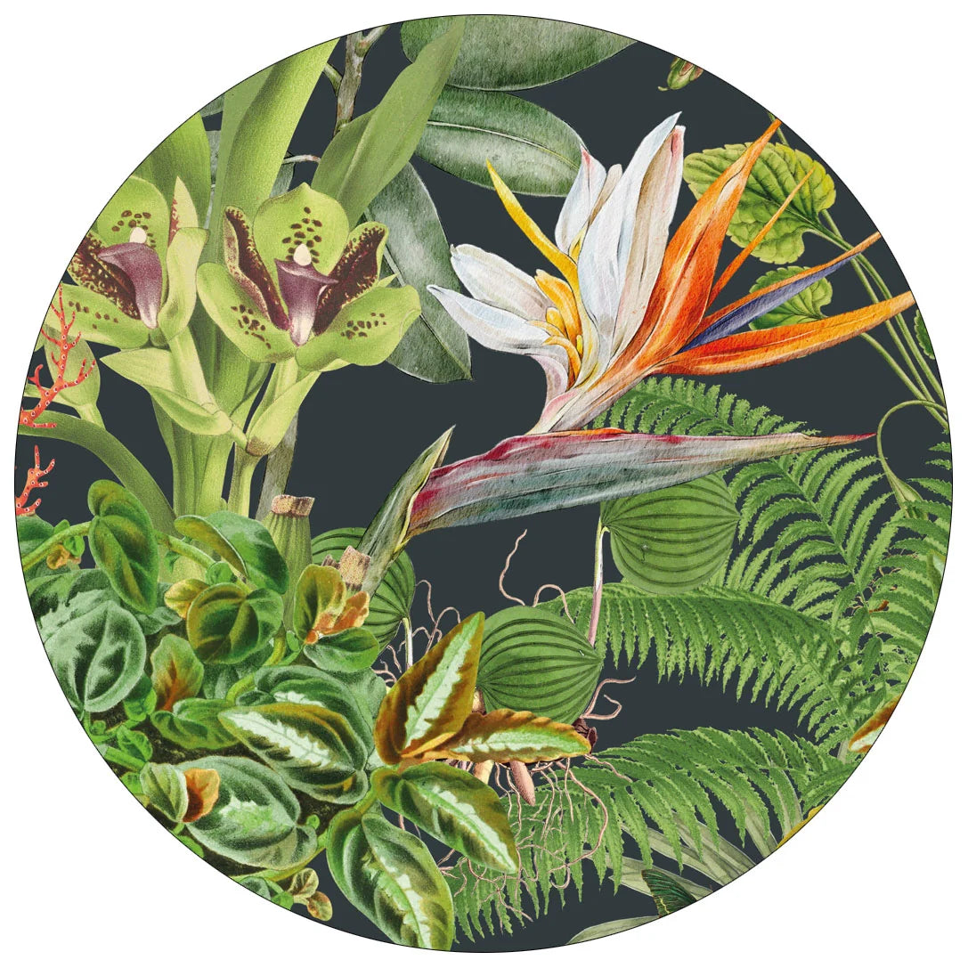 Vibrant Licence Disc Stickers
