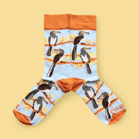 FEAT Designer Ladies Socks